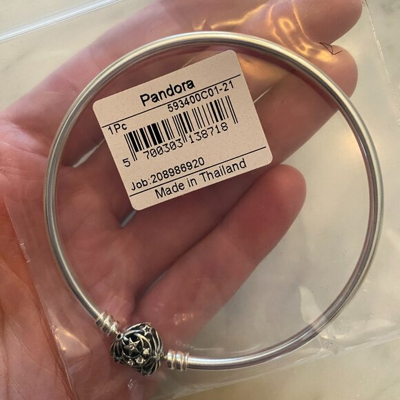 Pandora Bracelet Plus Two Charms (NWT) - Picture 4 of 4